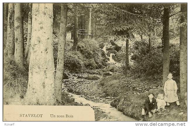 CP De STAVELOT " Un Sous Bois " Cachet FELDPOST Allemand . - Marcas De La Armada