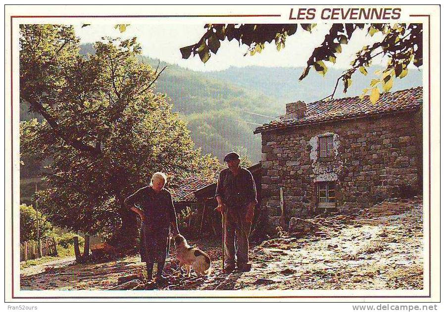 Cévennes Frme Couple De Paysans - Fattorie