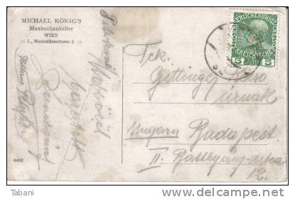 Austria, Wien, Maximiliankeller. Old Postcard. - Altri & Non Classificati