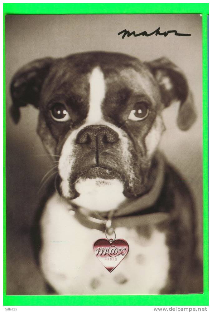 HAPPY VALENTINE´S DAY - WOULD U B MINE ? - BRINDLE BOXER NAME FALON - ADV. MAX - - Valentijnsdag