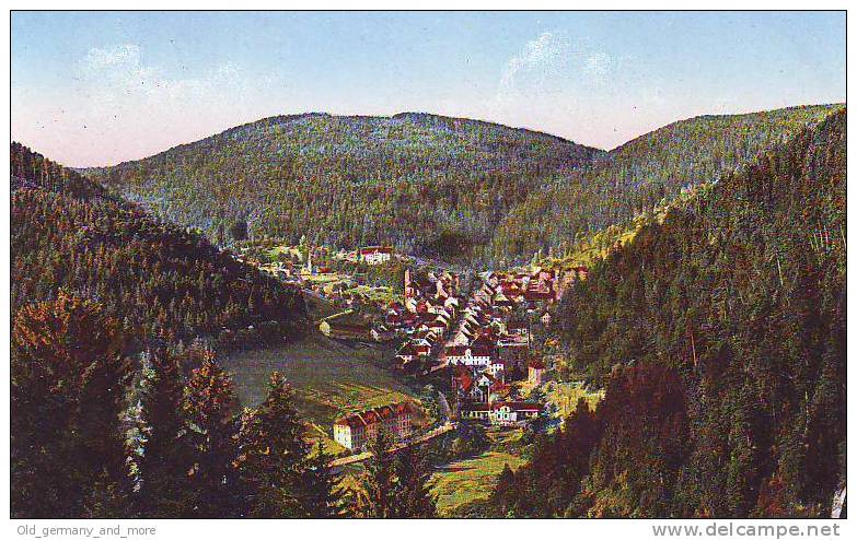 Trieberg-Schwarzwald (0146) - Triberg