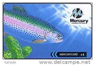 Mercury England  Phonecard  Fisch Fisk - Peces
