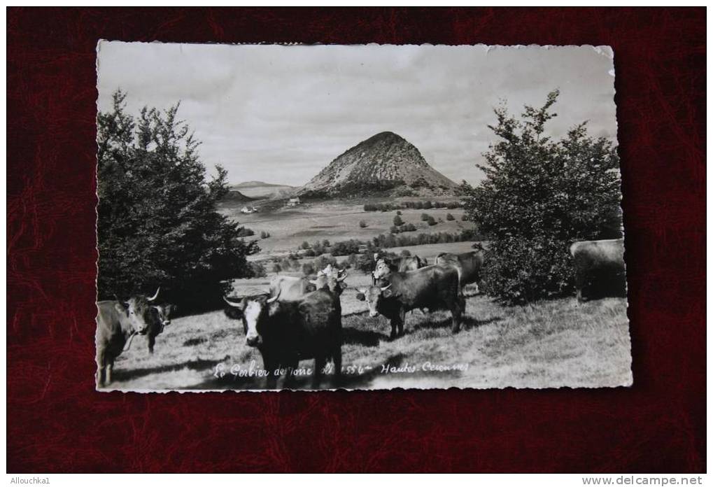 1959 ROCHEPAULE ARDECHE 07LE GERBIER DES JONCS HTES CEVENNES   POUR MARSEILLE TADATE EN POINTILLE - Vallon Pont D'Arc