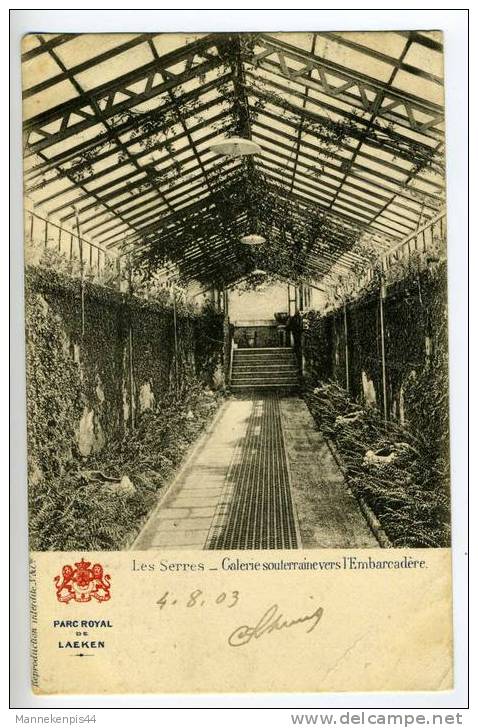 Parc Royal De Laeken - Les Serres - Galerie Souterraine Vers L'Embarcadère - Ed. Vanderauwera & Cie - Forêts, Parcs, Jardins