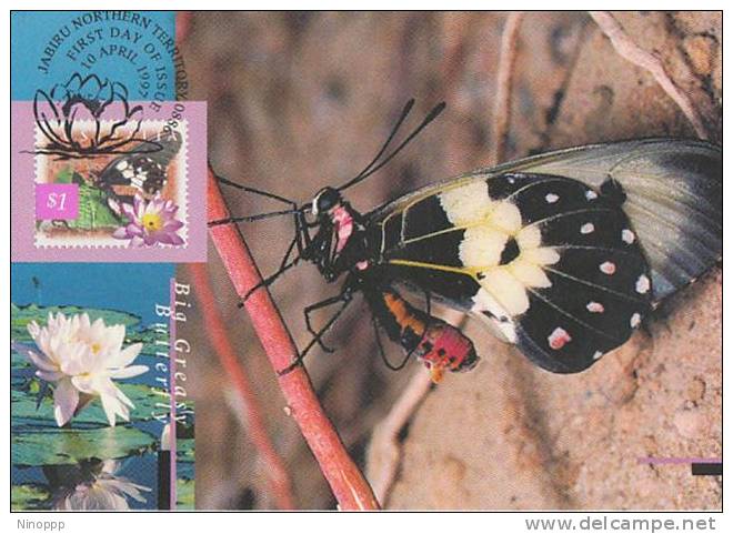 Australia-1997 Nature Of Australia  Big Greasy Butterfly Maximum Card - Maximumkaarten