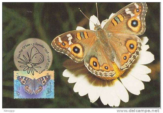 Australia-1998  Meadow Argus Butterfly  Maximum Card - Maximum Cards