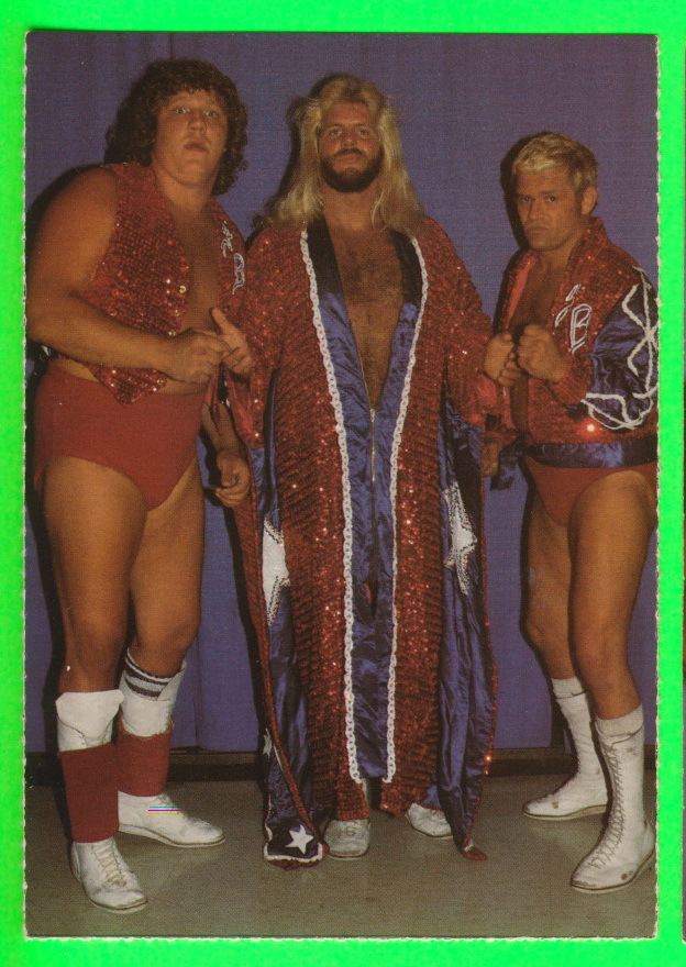 LUTTE - WRESTLING - WCW/NWO - THE FABULOUS FREEBIRDS - ÉDITÉ PAR BERT RANDOLPH & GEORGE NAPOLITANO EN 1985 - - Lutte