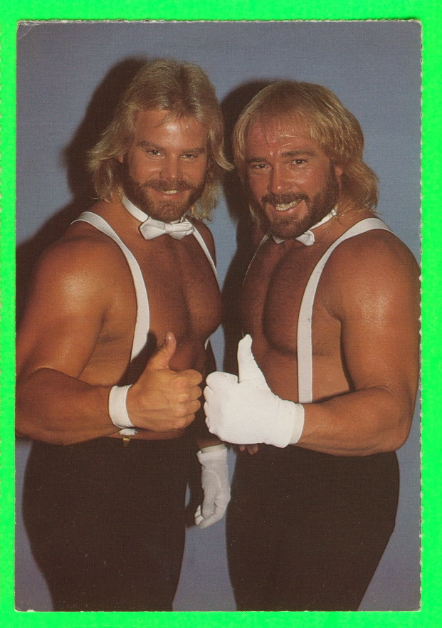 LUTTE - WRESTLING - WCO/NWO THE FABULOUS ONES - ÉDITÉ PAR BERT RANDOLPH & GEORGE NAPOLITANO EN 1985 - - Wrestling