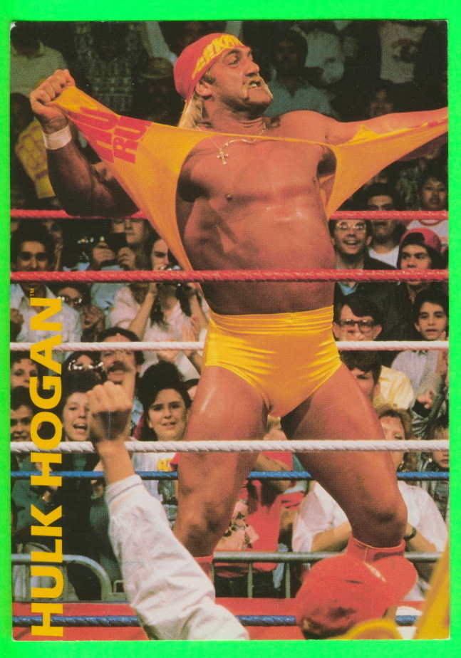 LUTTE - CATCH - WRESTLING - HULK HOGAN - WCW/NWO - WWE - - Lutte