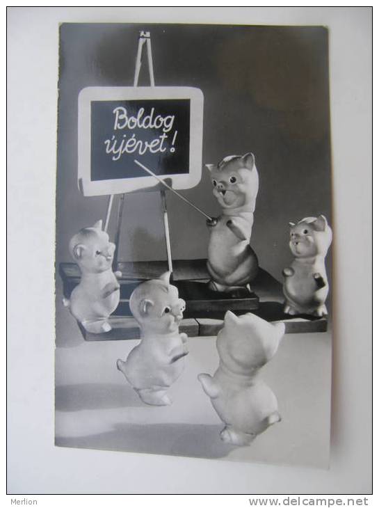 Piglets -New Year Pigs  - Pig  Hungarian Postcard  1960's  VF  D56410 - Pigs