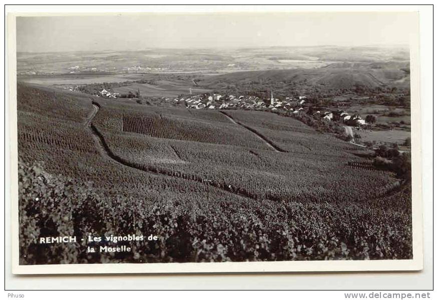 L603 : REMICH : Les Vigbobles De La Moselle - Remich