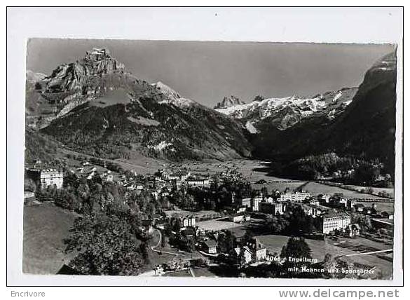 Cpsm ENGELBERG Mit Hahnen Und Spannorter -6066 Goetz - Engelberg