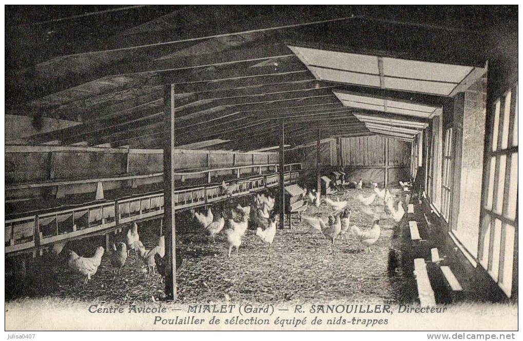 MIALET (30) élevage Avicole Intérieur Poulailler - Other & Unclassified