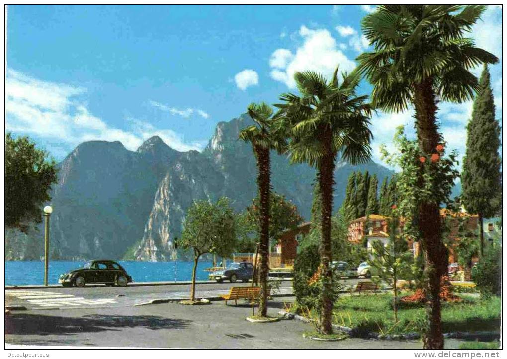 TORBOLE Lago Di Garda  Panorama 1968 ( VW Volkswagen Beetle Käfer Coccinelle ) - Autres & Non Classés