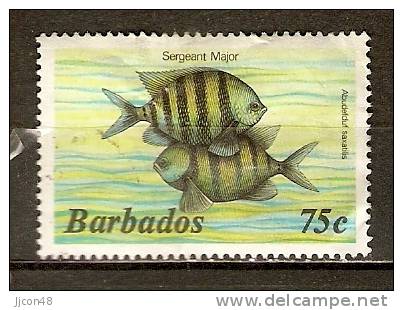 Barbados  1985  Marine Life  75c  (o) - Barbados (1966-...)