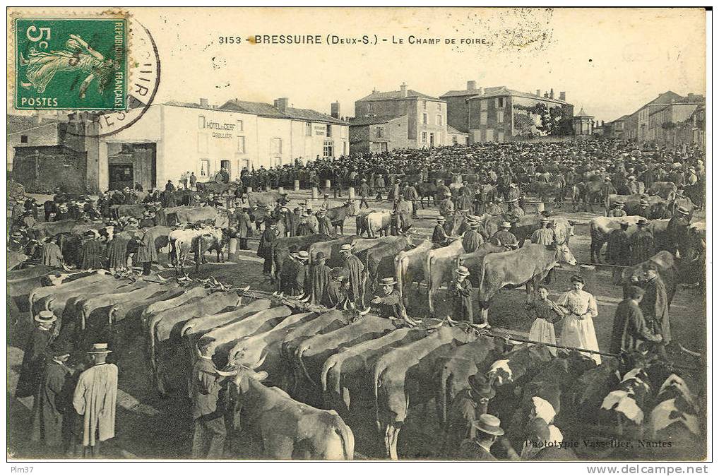 BRESSUIRE - Champ De Foire - Le Marché Aux Bestiaux - Bressuire