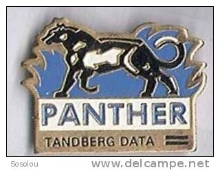 Panther Tanderg Data - Informatique