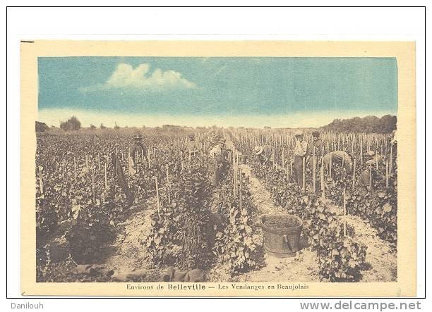 69 // BELLEVILLE SUR SAONE - Vendanges En Beaujolais, Colorisée - Belleville Sur Saone