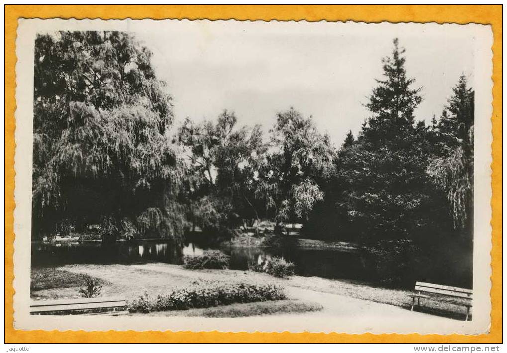 VILLINGEN - Allemagne - N°345 - Jardin Public - Edit Breuil Villingen Animée Carte Photo écrite En 1948 Poste Aux Armées - Villingen - Schwenningen