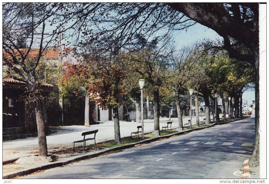 Vue - La Garde Freinet