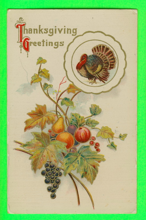 THANKSGIVING GREETINGS - TURKEY & FRUITS - J.M. - - Thanksgiving