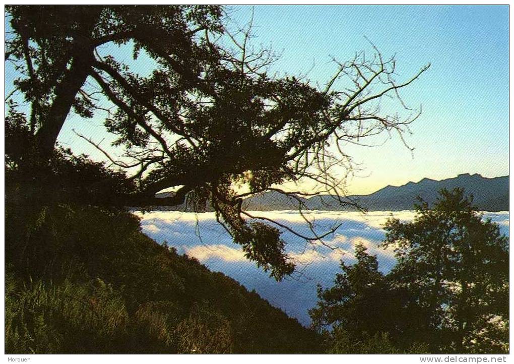 Postal Picos De Europa. OVIEDO. Mar De Niebla Collada Del Salce - Asturias (Oviedo)