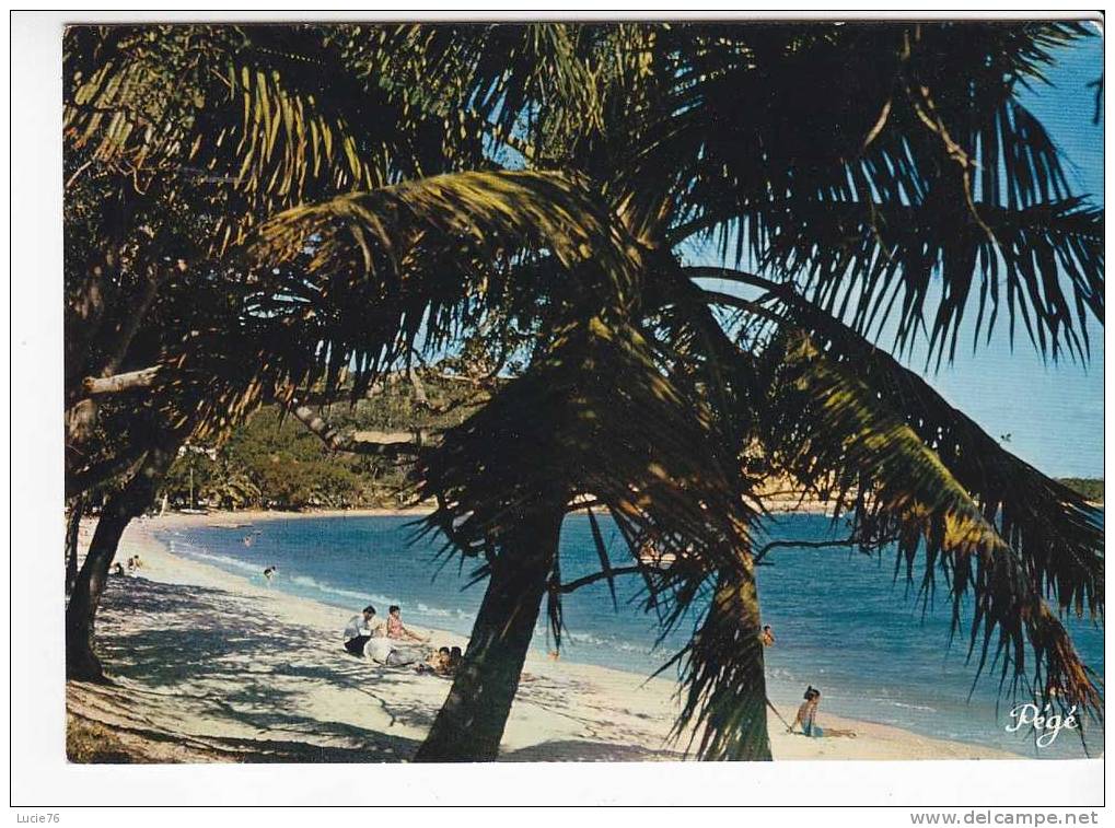 NOUMEA -   La Plage De  L´  ANSE    VATA   - N°  5826     . - Nouvelle Calédonie