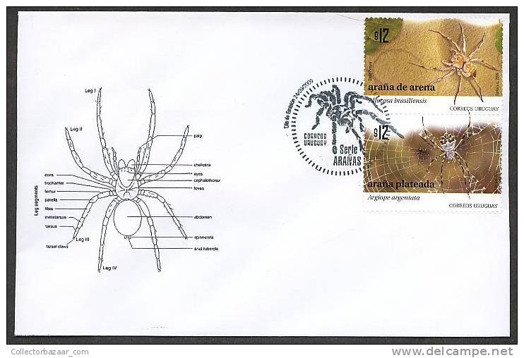 URUGUAY FDC COVER Stamp Fauna Spider Anatomy Web Allocosa Brasiliensis - Argiope Argentata - Arañas