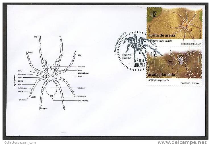 URUGUAY FDC COVER Stamp Fauna Spider Anatomy Web Allocosa Brasiliensis - Argiope Argentata - Araignées