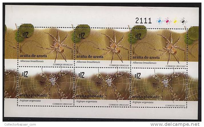 URUGUAY Spider Exotic Web MNH Block Of 6 Stamp Sheet Allocosa Brasiliensis Argiope Argentata - Spinnen