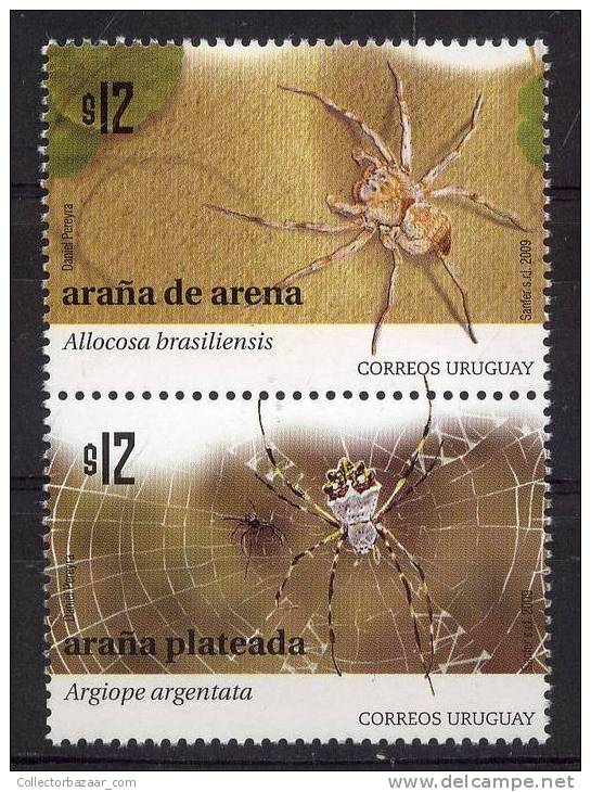 URUGUAY Spider Exotic Web 2 Stamps MNH Allocosa Brasiliensis Argiope Argentata - Spiders
