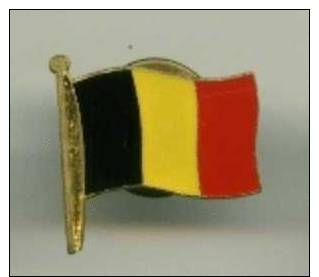 *** 1 Pins Drapeau Belgique - Administraties