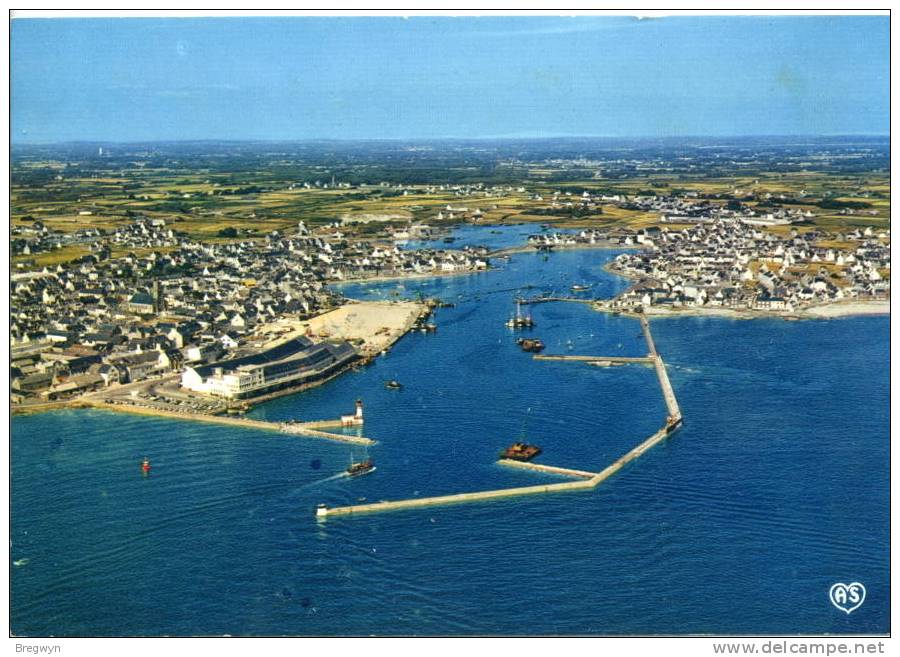 29 - Belle CPSM Le Guilvinec-Lechiagat - Vue Générale Du Port Et Sa Criée - Guilvinec