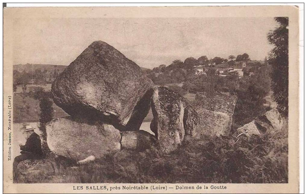 Noiretable - LES SALLES  42 - Domaine De La Goutte - 1930 - Noiretable