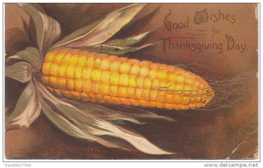 Unsigned CLAPSADDLE Large Ear Of Corn THANKSGIVING GREETING 1907 - Clapsaddle