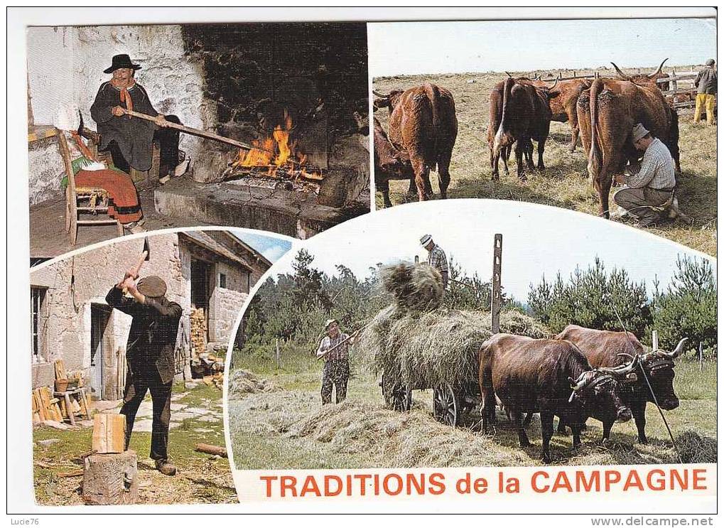 TRADITIONS De La CAMPAGNE   -  4 Vues  :  VEILLEE  Au CANTOU  - TRAITE Au PARC  - Le BUCHERON -  La FENAISON   . - Bauernhöfe