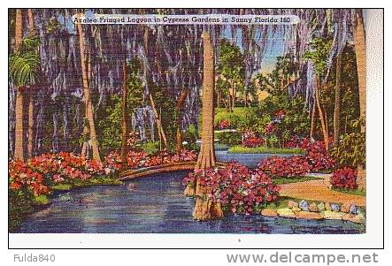 CPSM.    FLORIDA.      Azalea Fringed Lagoon In Cypress Gardens In Sunny Florida 160.  1963. - Autres & Non Classés