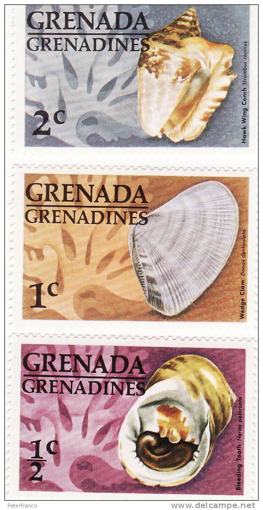 Grenada/Grenadines - Donax Denticulata, Strombus Raninus, Nerita Peporonta - Coneshells