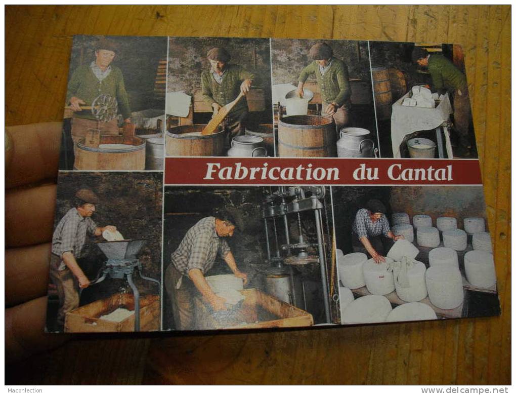 Fabrication Traditionnelle De La Fourme Du Cantal Fromage Affinage En Cage - Fermes