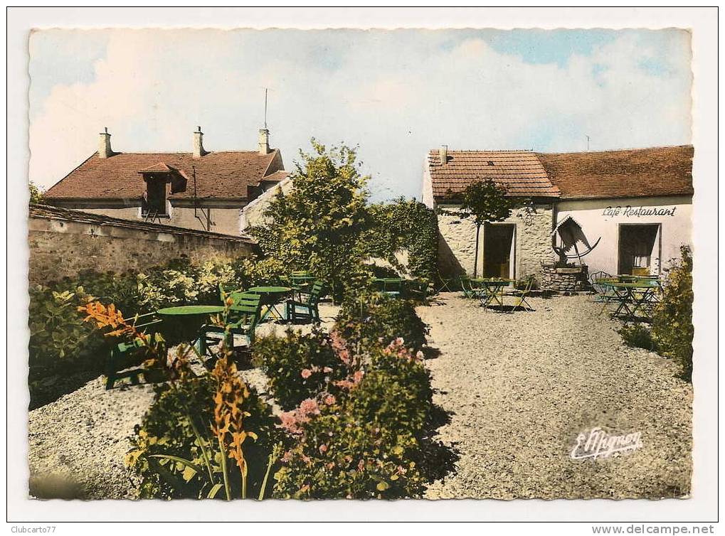 Saint-Fargeau-Ponthierry (77) : Jardins De L'Auberge Du Puit Beau En 1960. - Saint Fargeau Ponthierry