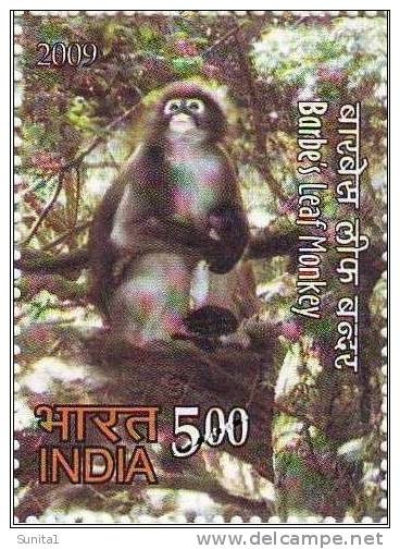 Monkey, Barbe's Leaf Monkey, India, Mammal, Fauna - Singes