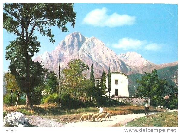 6524/FG/09 - GRAN SASSO D'ITALIA (CHIETI) - Ritorno Dal Pascolo - Chieti