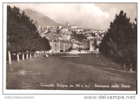 32673)cartolina Illustratoria Torricella Peligna -  Panorama Dalla Pineta - Chieti