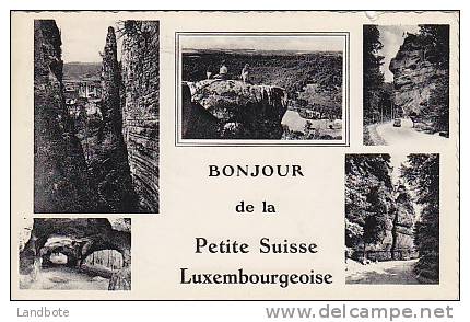 Petite Suisse Luxembourgeoise  Bonjour De La.... (carte Petit Format) - Muellerthal