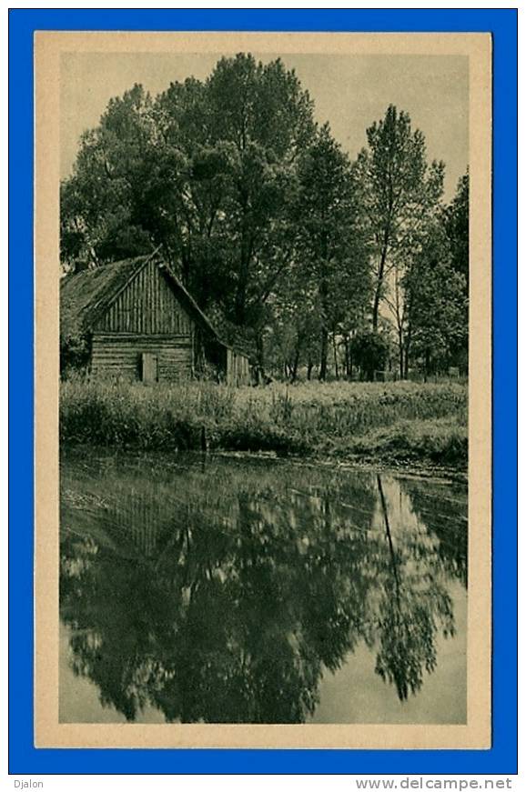 A - RUPP - LANDSCHAFT IM SPREEWALD.  (C.P.A.) - Sonstige & Ohne Zuordnung