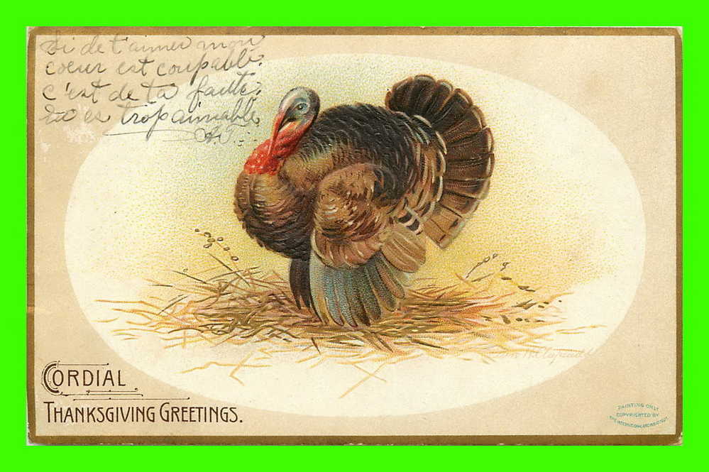 CORDIAL THANKSGIVING GREETINGS - TURKEY - EMBOSSED - TRAVEL IN 1907 - INTERNATIONAL ART PUBL. CO. - - Thanksgiving