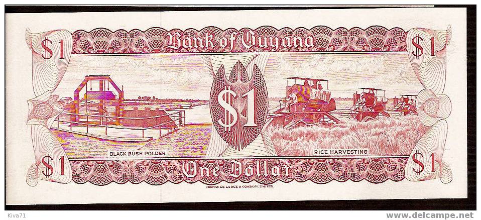 1 Dollar  "GUYANE"   ND   UNC  Ble 36 - Guyana