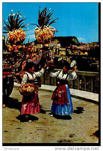 X PALERMO CARD CARRETTO SICILIANO SICILIAN CART NEW NON VIAGGIATA ANNI 60 - Costumi