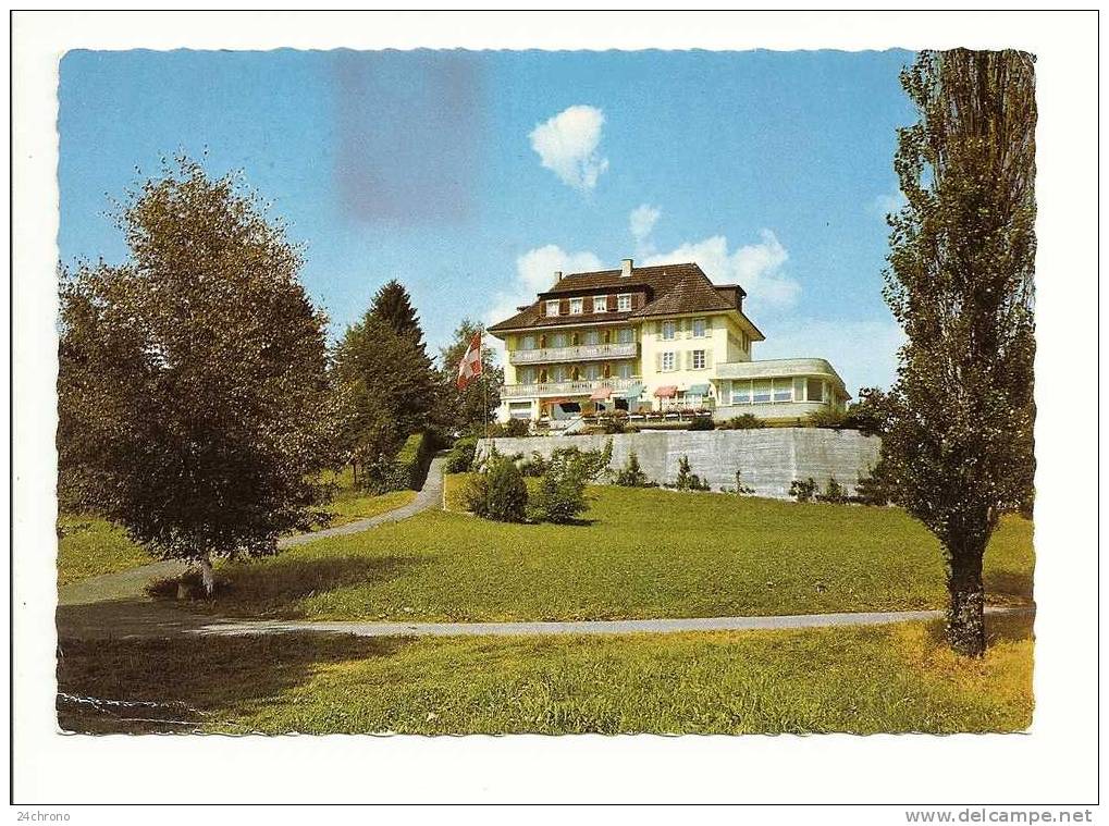 Lucerne, Luzern, Seehotel Bellevue Mariazell, Sursee Bei Luzern, Hotel (09-1953) - Sursee