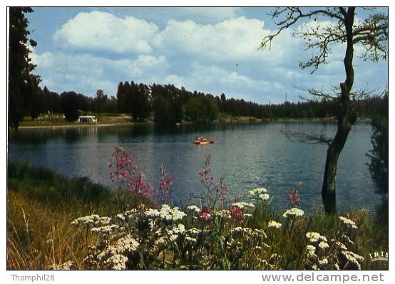 USSEL (Corrèze) Alt. 631 M. - Le Plan D´eau De Ponty Avec Un Pédalo. - Ussel